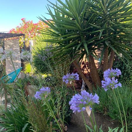 Au Pied Du Baou Avec Jardin Prive Apartamento Toulon Exterior foto