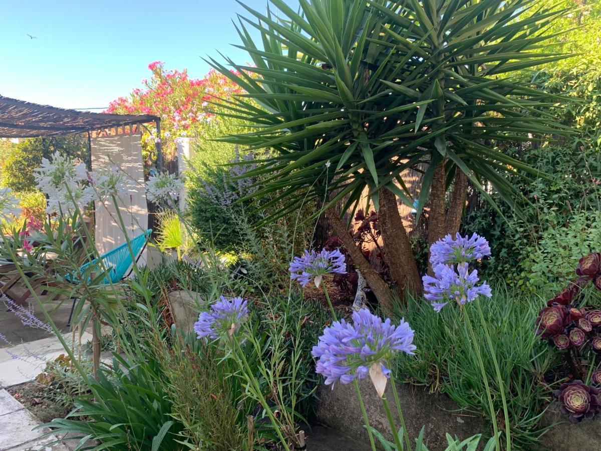 Au Pied Du Baou Avec Jardin Prive Apartamento Toulon Exterior foto